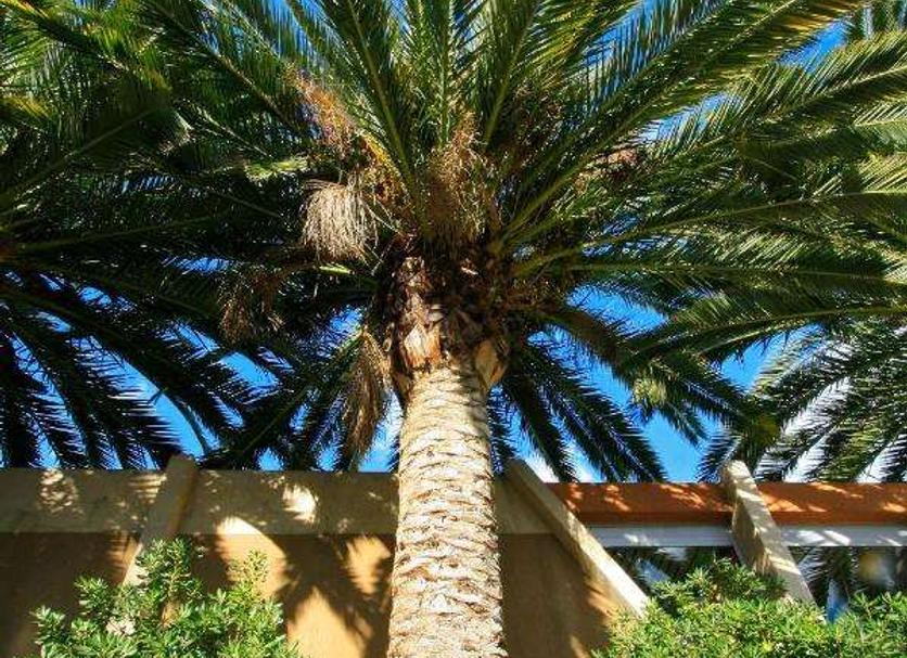 Exterior Foto