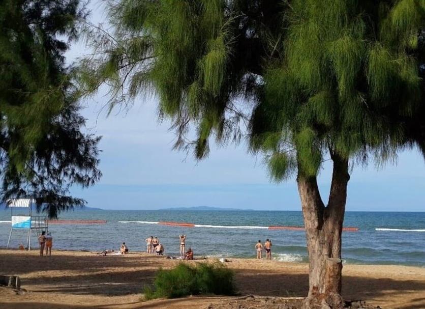 Outra Foto