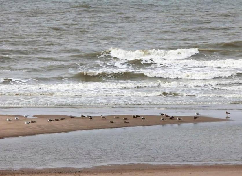 Praia Foto