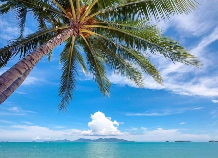 Praia Foto