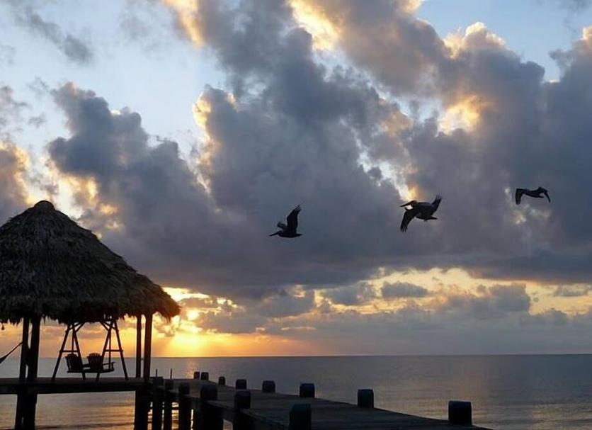 Praia Foto