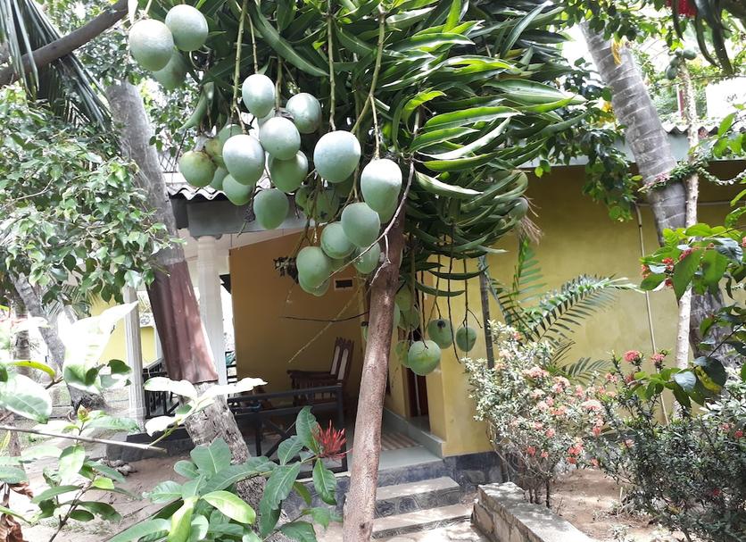 Exterior Foto