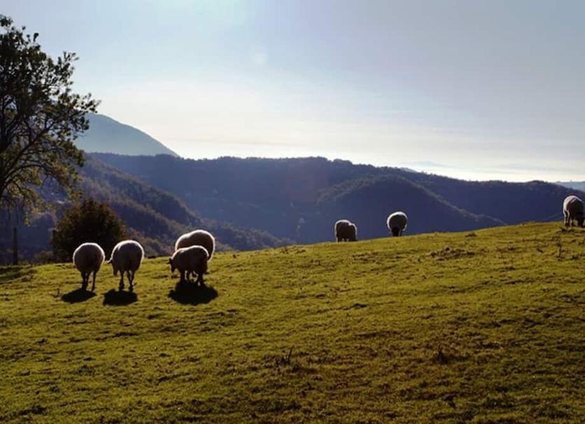 Outra Foto