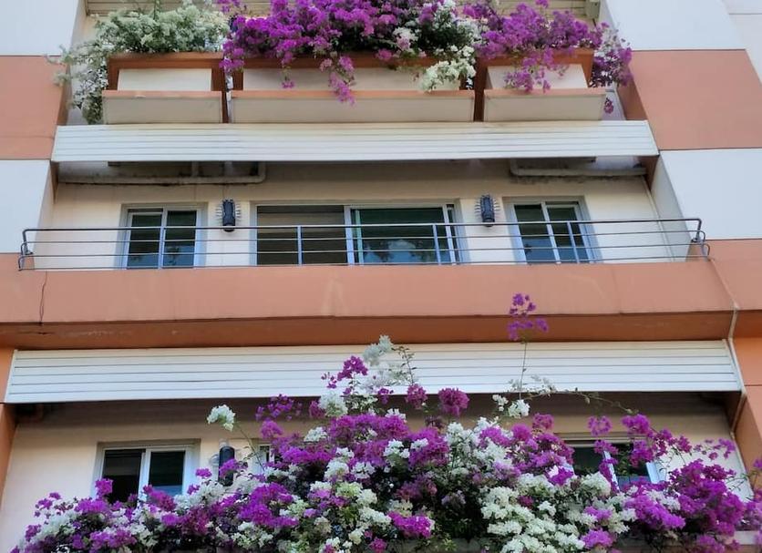 Edifício Foto