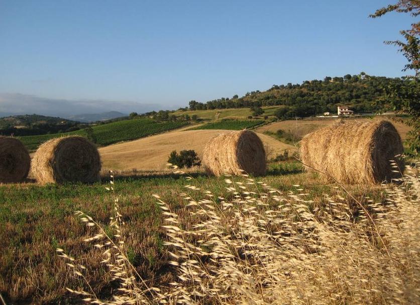 Exterior Foto