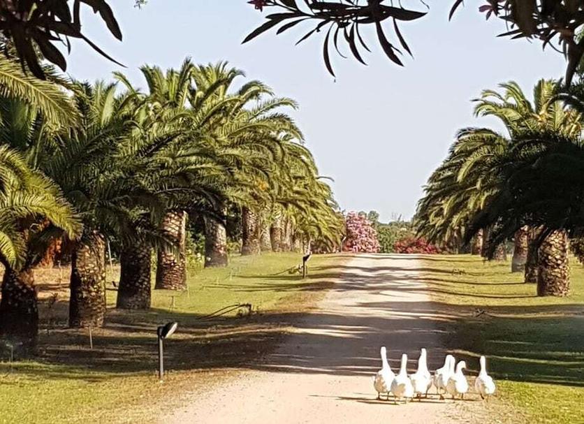 Exterior Foto