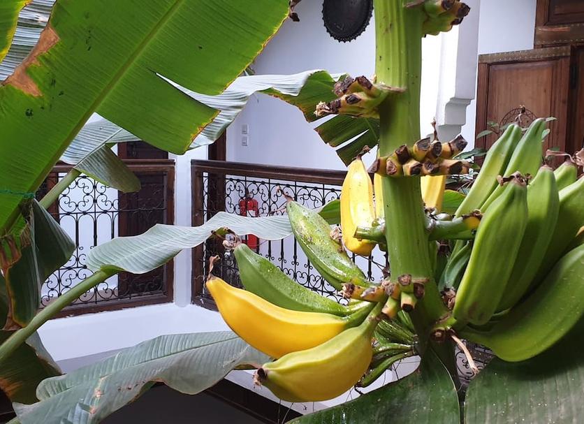 Outra Foto