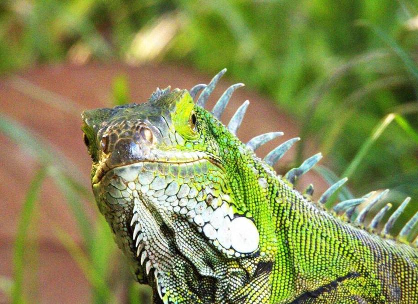 Outra Foto