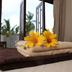 Comodidade do quarto