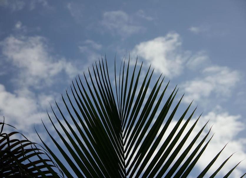 Outra Foto