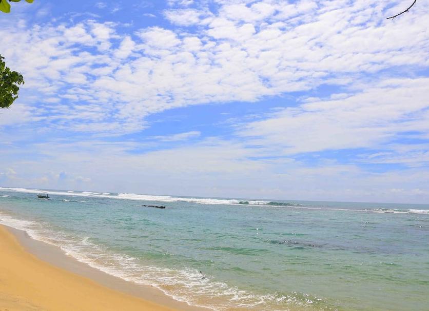 Outra Foto