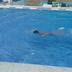 Outra