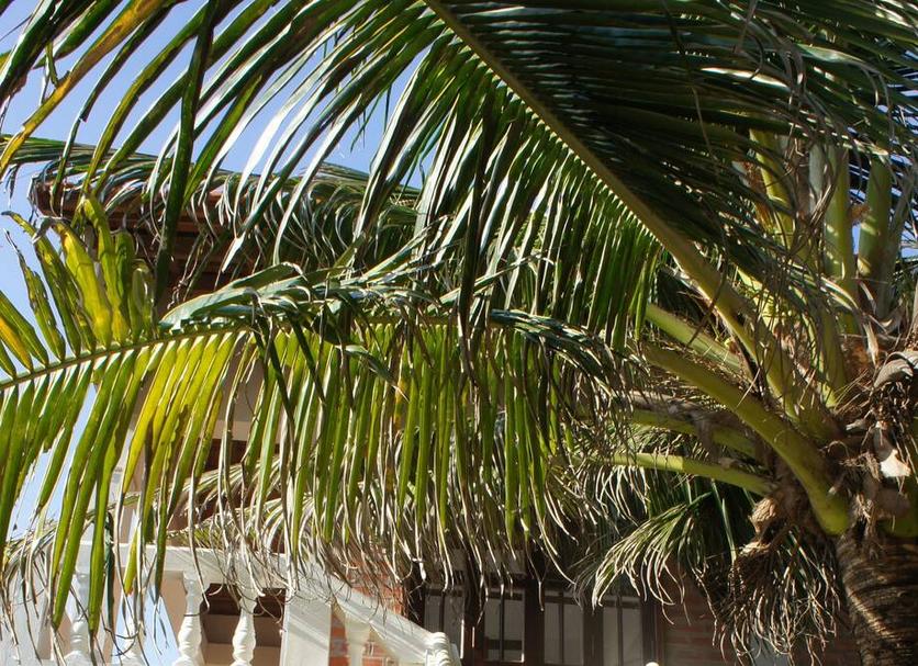 Exterior Foto