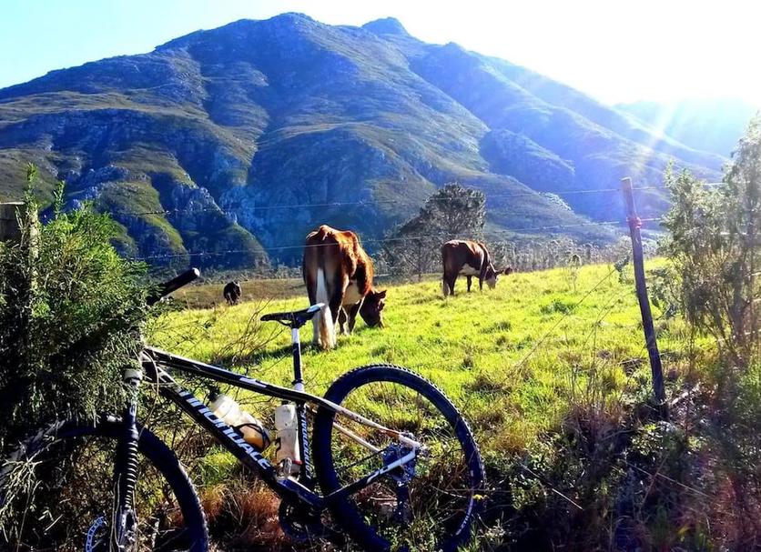 Outra Foto
