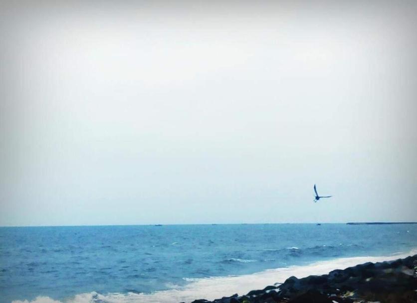 Outra Foto