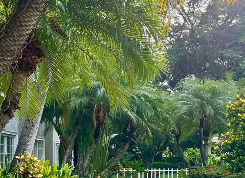 Exterior Foto