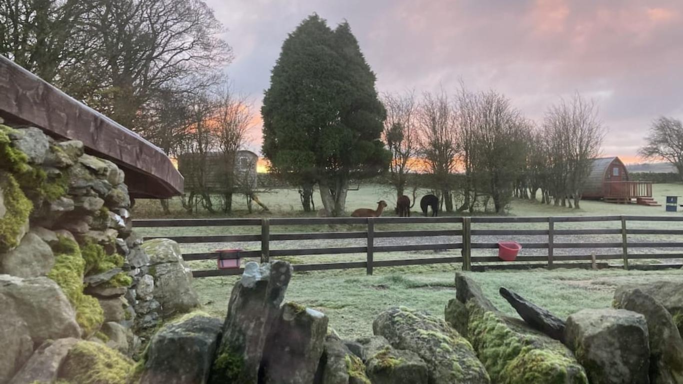Llwyn Onn Guest House, North Wales