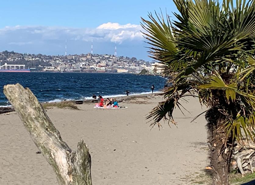 Praia Foto