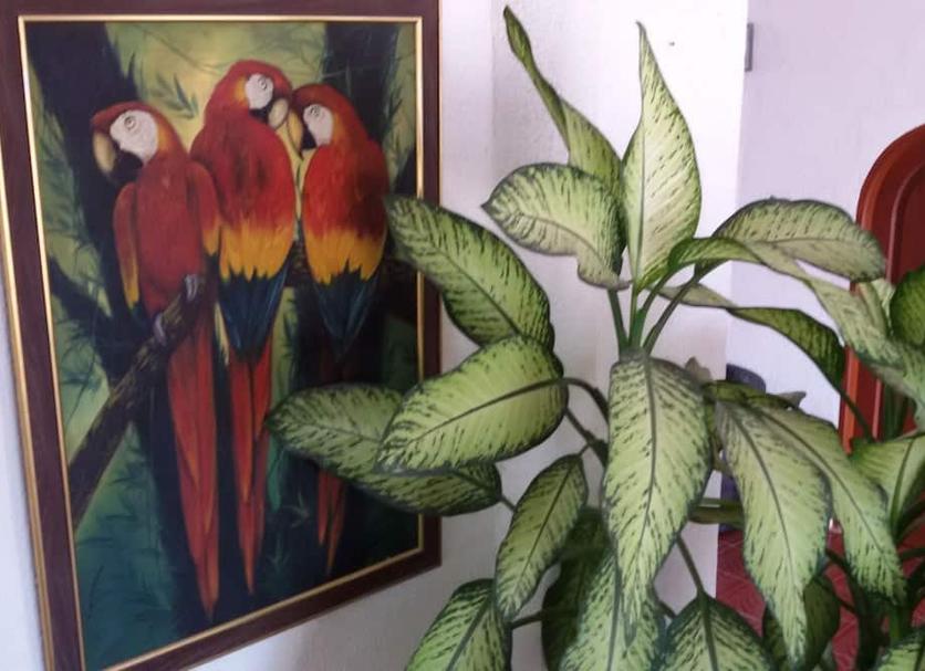 Comodidade do quarto Foto