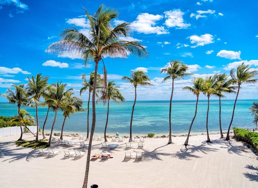 Praia Foto
