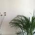 Comodidade do quarto