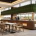 Outra