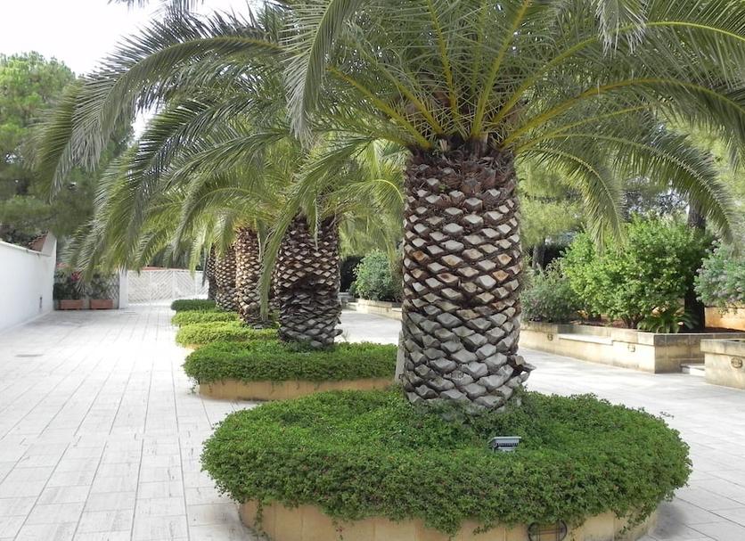 Exterior Foto