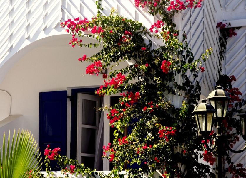 Exterior Foto