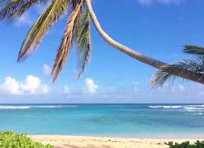 Praia Foto