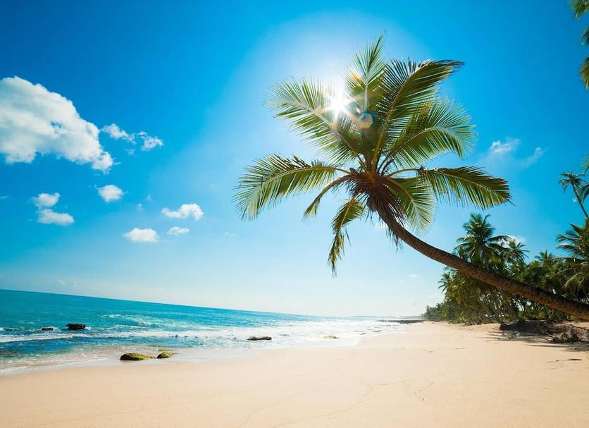Praia Foto