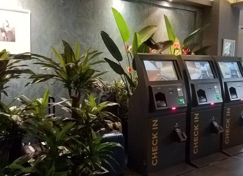 Receção Foto