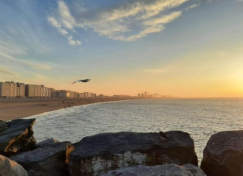 Outra Foto