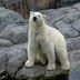 Outra