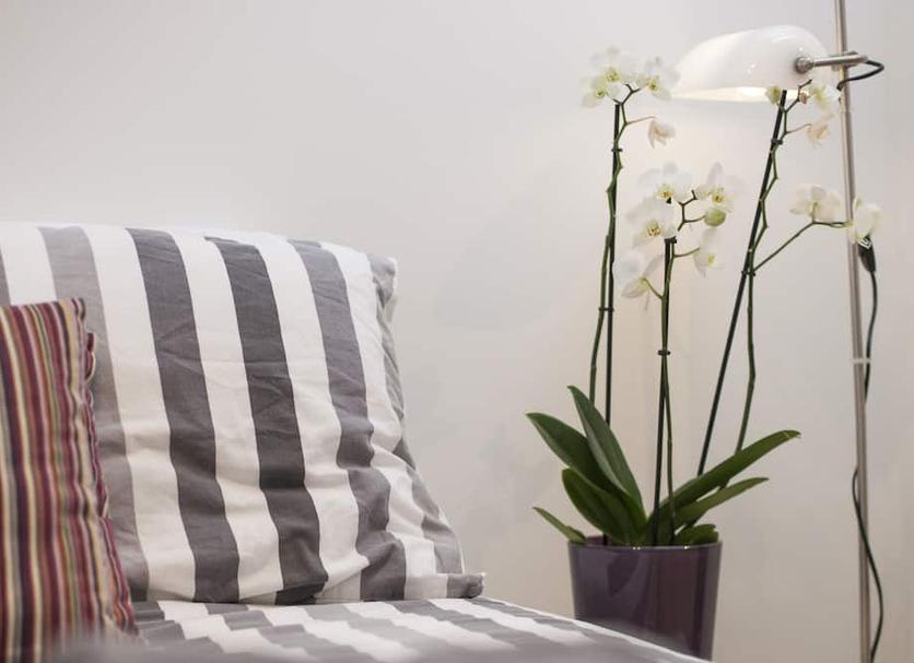 Comodidade do quarto Foto