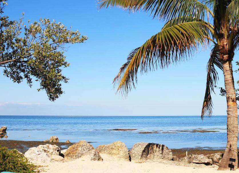 Praia Foto