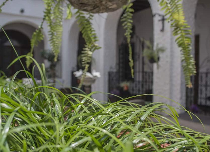 Exterior Foto