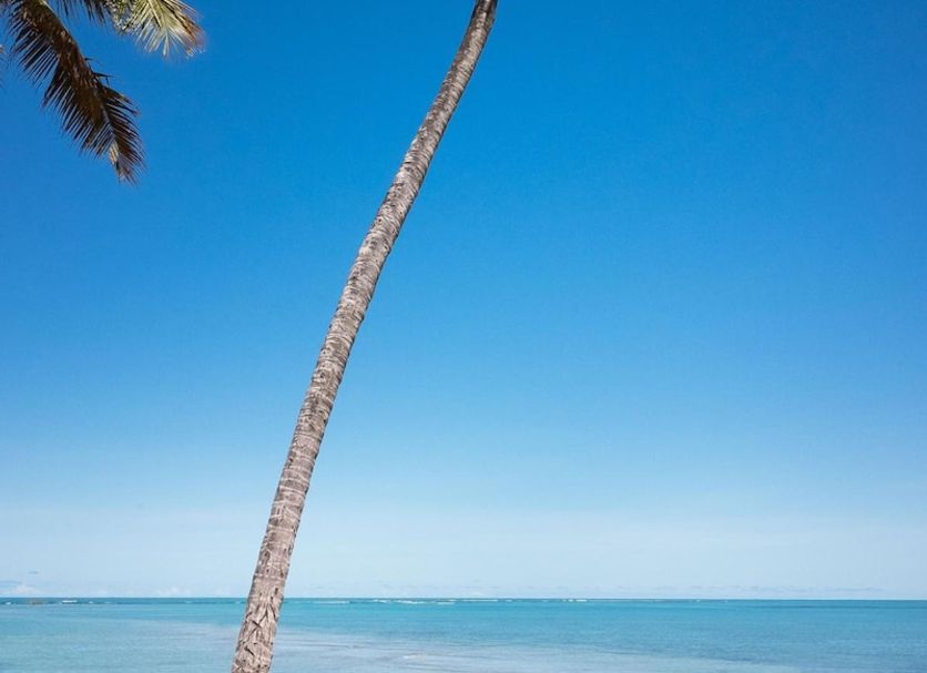 Praia Foto