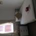 Comodidade do quarto