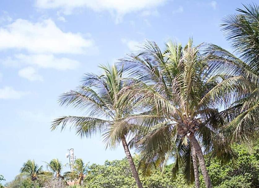 Exterior Foto