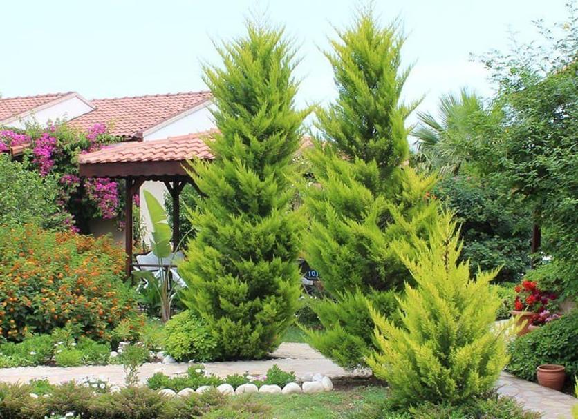 Exterior Foto