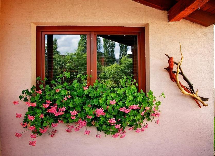 Exterior Foto
