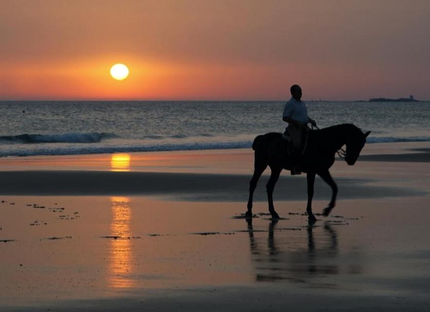 Praia Foto