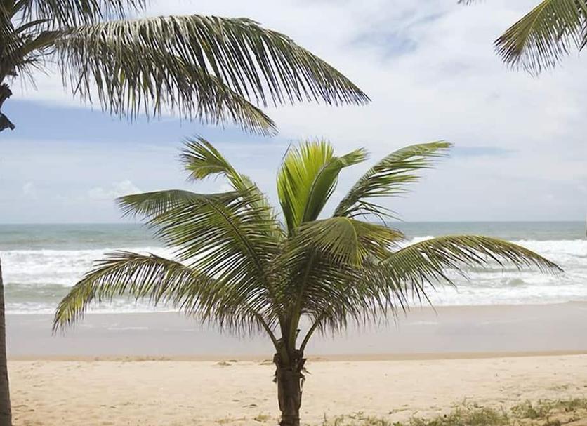 Praia Foto