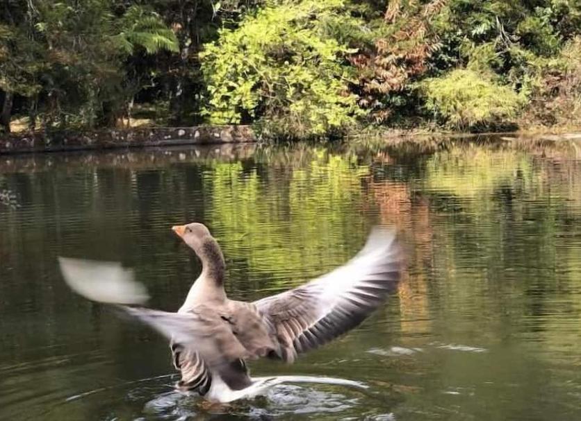 Outra Foto