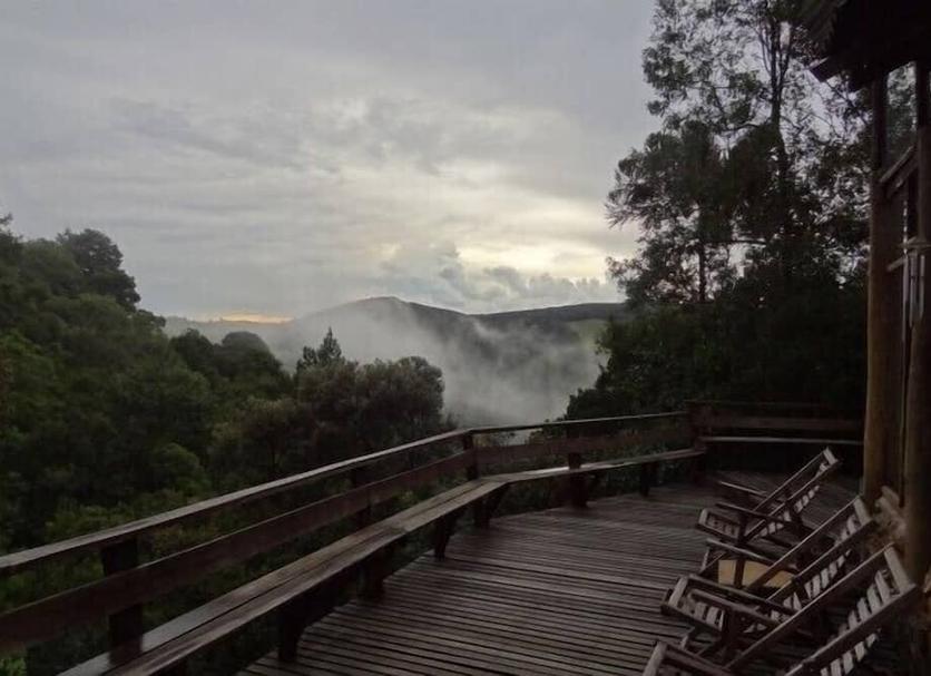 Outra Foto