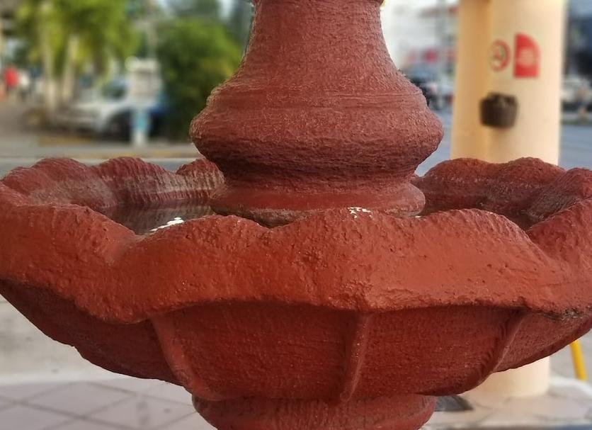 Outra Foto