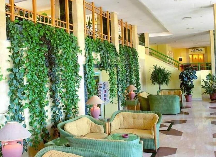 Hall Foto