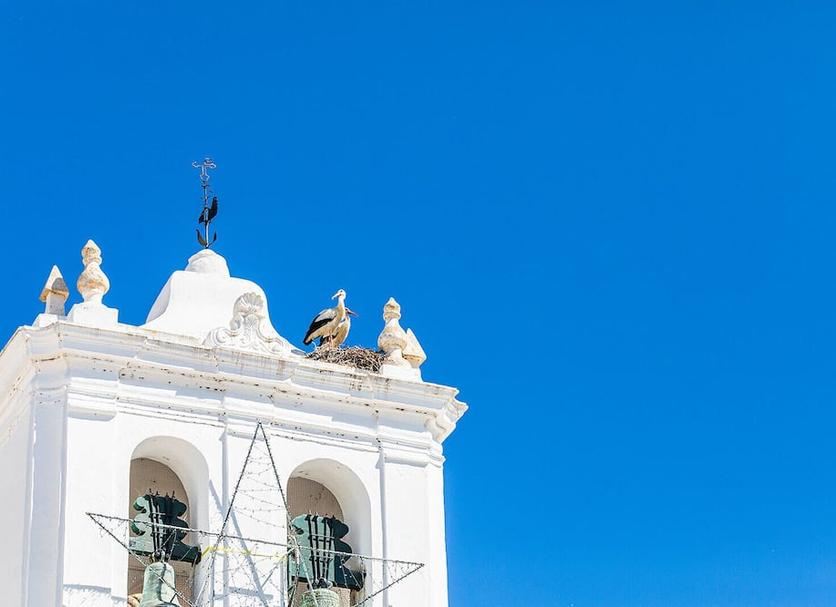 Outra Foto