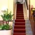 Escadas