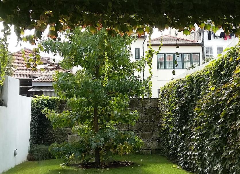 Exterior Foto